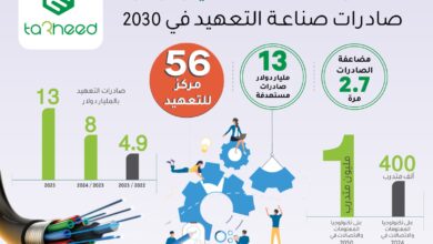 صادرات صناعة التعهيد لمصر في 2030