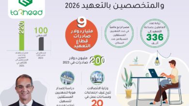 رؤية مصر لتنمية عدد العاملين بصناعة التعهيد