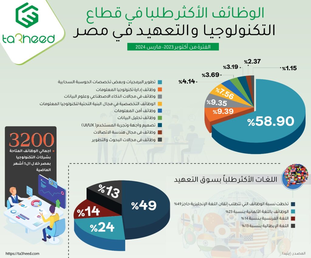 الوظائف الأكثر طلبًا في قطاع تكنولوجيا المعلومات والتعهيد في مصر