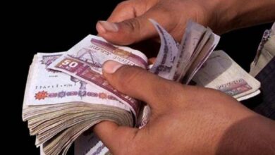 نشرة الأحد 16 فبراير 2025.. شركات التعهيد المصرية المتأثر الأكبر من رفع الحد الأدنى للأجور.. ولكن !