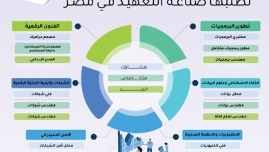 مسارات متوائمة في مجالات تطلبها صناعة التعهيد في مصر