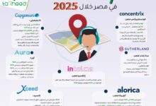 حصاد 7 شركات تعهيد تعمل في مصر خلال 2025