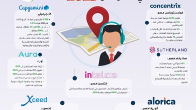 حصاد 7 شركات تعهيد تعمل في مصر خلال 2025