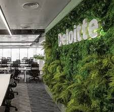 نشرة الأحد 7 ديسمبر 2025.. مركز ديلويت للابتكار يدرس التوسع في الخدمات الضريبية والقانونية والتحول لمنصة رقمية إقليمية