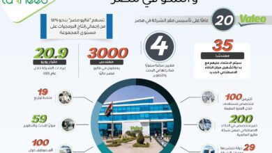 "فاليو".. مرحلة جديدة من التوسع والنمو في مصر