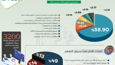 الوظائف الأكثر طلبًا في قطاع تكنولوجيا المعلومات والتعهيد في مصر