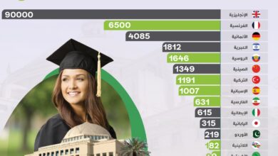 أعداد خريجي الجامعات المصرية سنويا طبقًا للغة