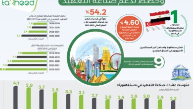 "مصر" و "سنغافورة" تعاون ممتد وخطط لدعم صناعة التعهيد