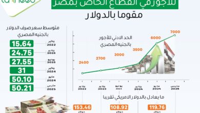 تطور الحد الأدني لأجور القطاع الخاص في مصر مقوما بالدولار